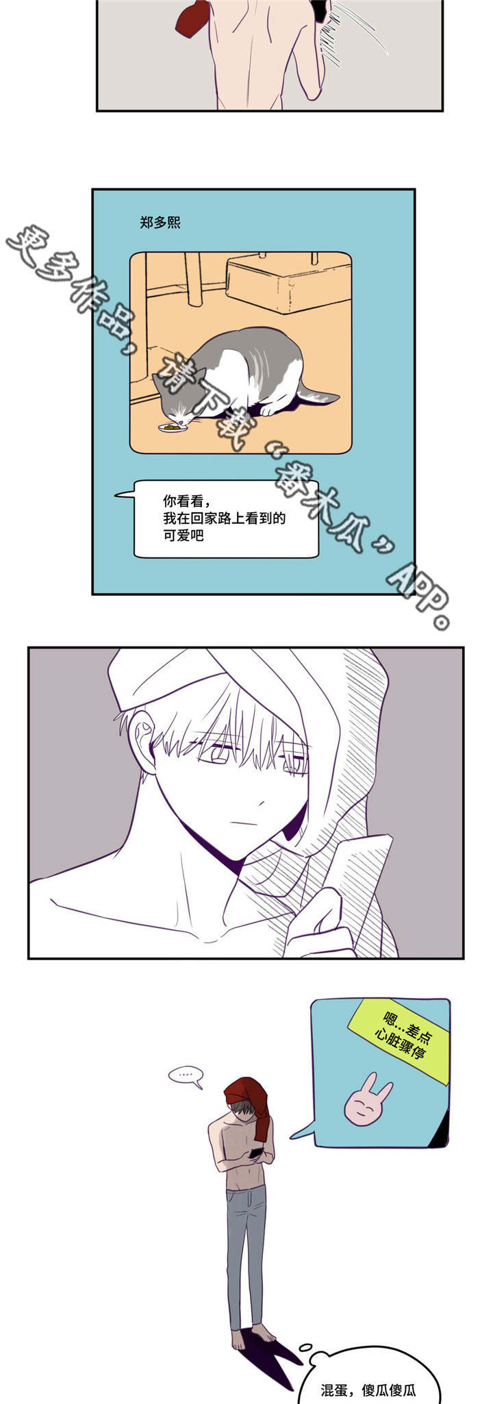 《秘密照片》第16章曾预料过 第11页