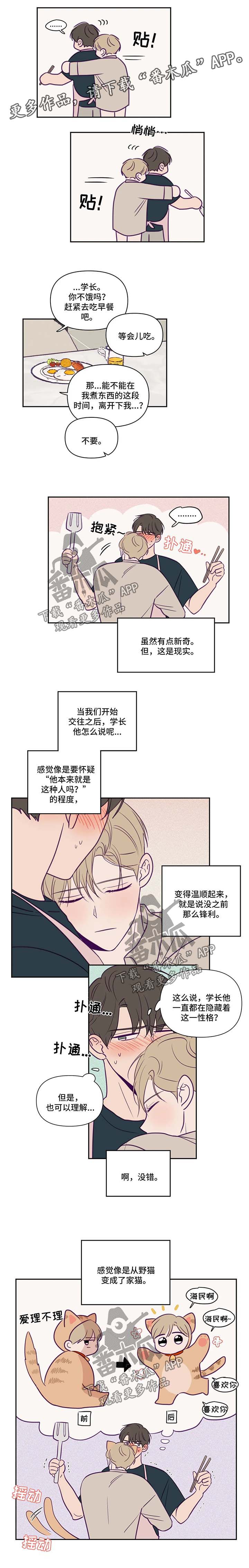 《秘密照片》第64章旅行计划 第3页