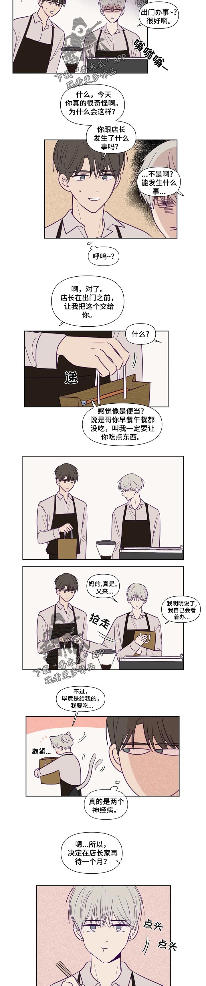 《秘密照片》第114章平白无故 第3页