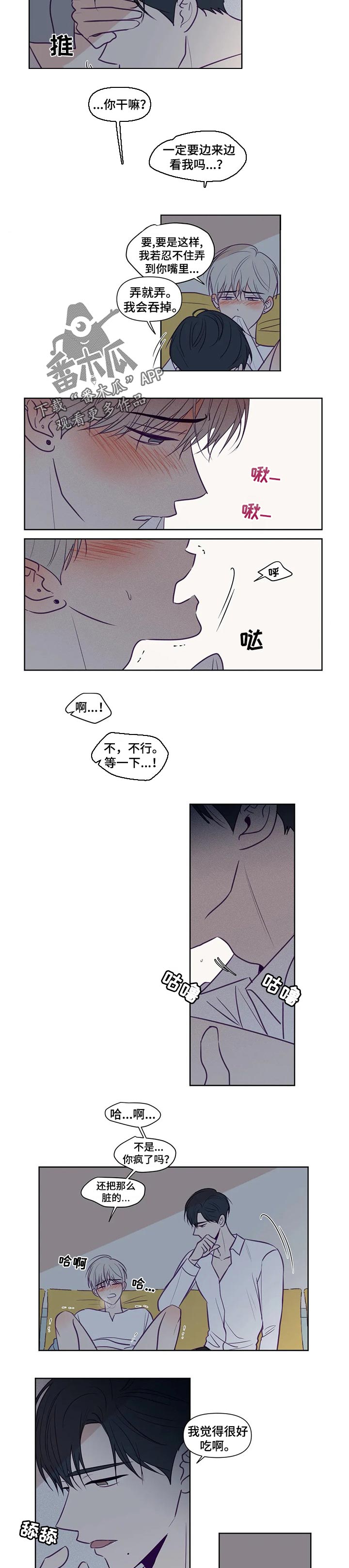 《秘密照片》第117章你不能后悔 第3页