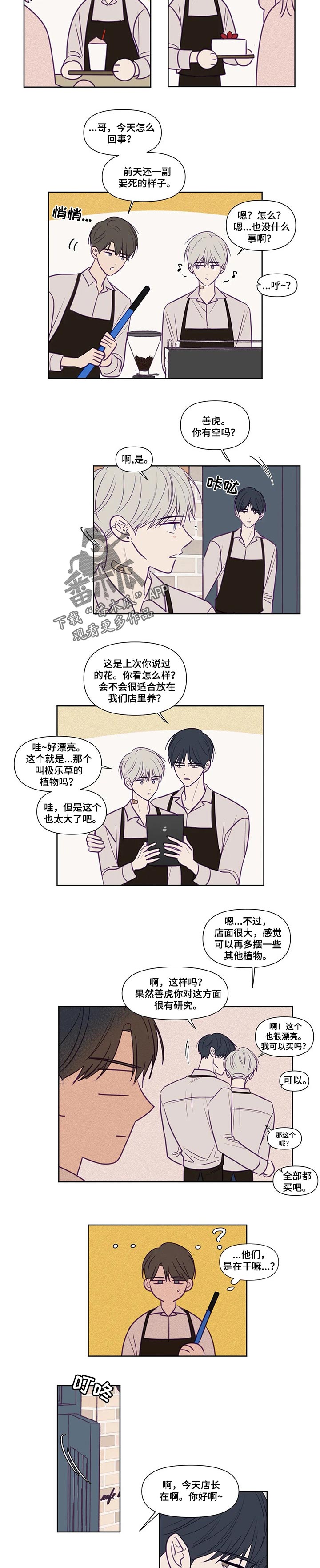 《秘密照片》第120章缠着你 第3页