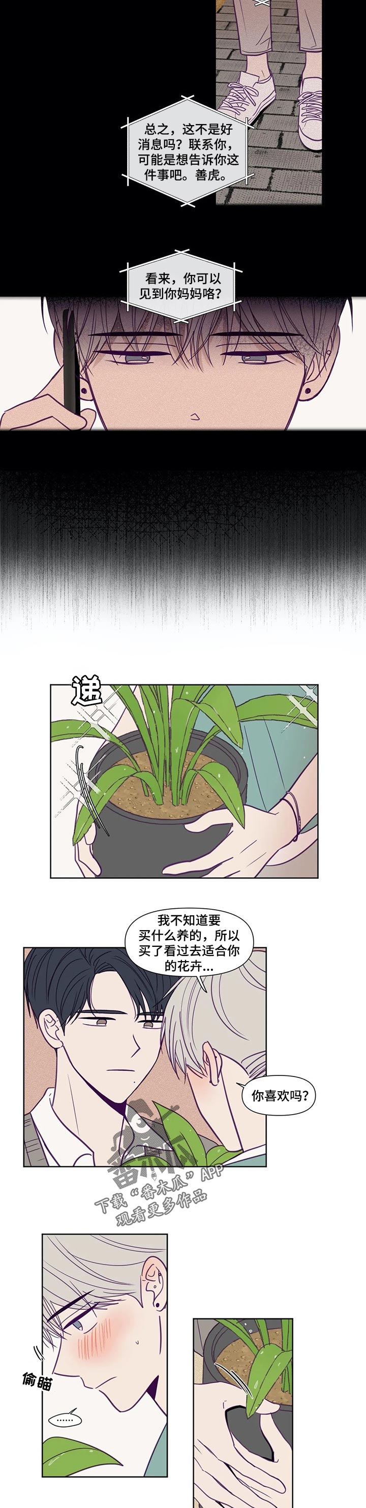 《秘密照片》第131章你可以期待 第2页