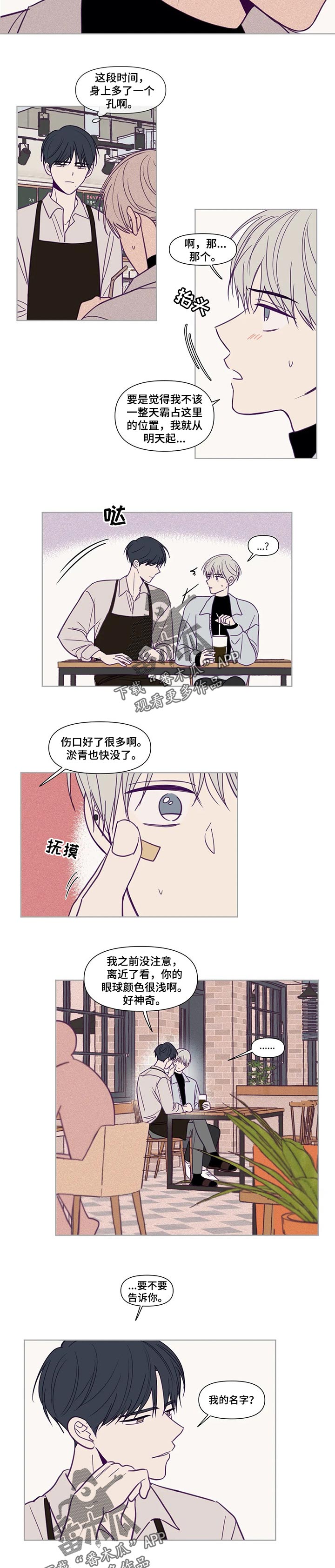 《秘密照片》第135章我的名字 第5页