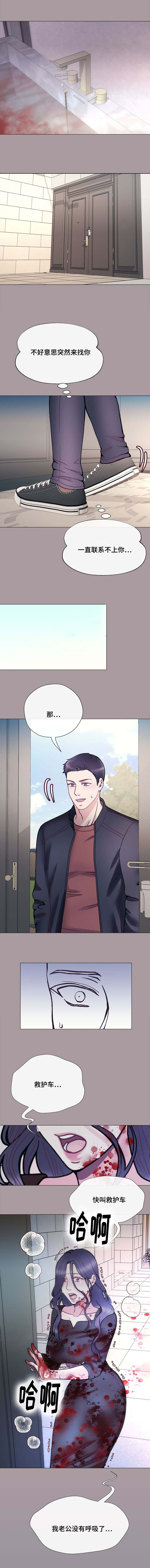 《李作家》第52章没有呼吸的老公 第5页