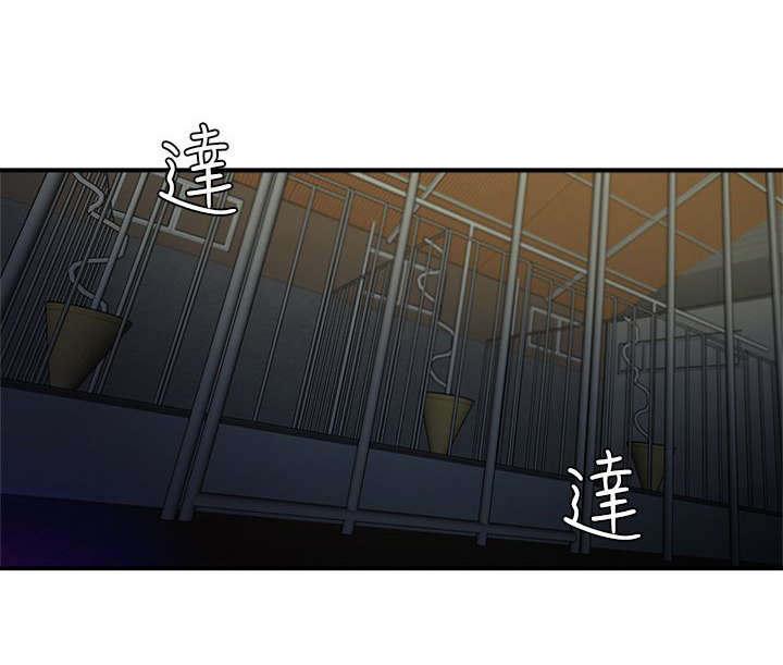 《韩天里》第1章养殖场 第2页