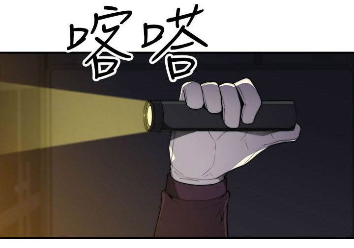 《幕后注视》第27章牡丹 第2页