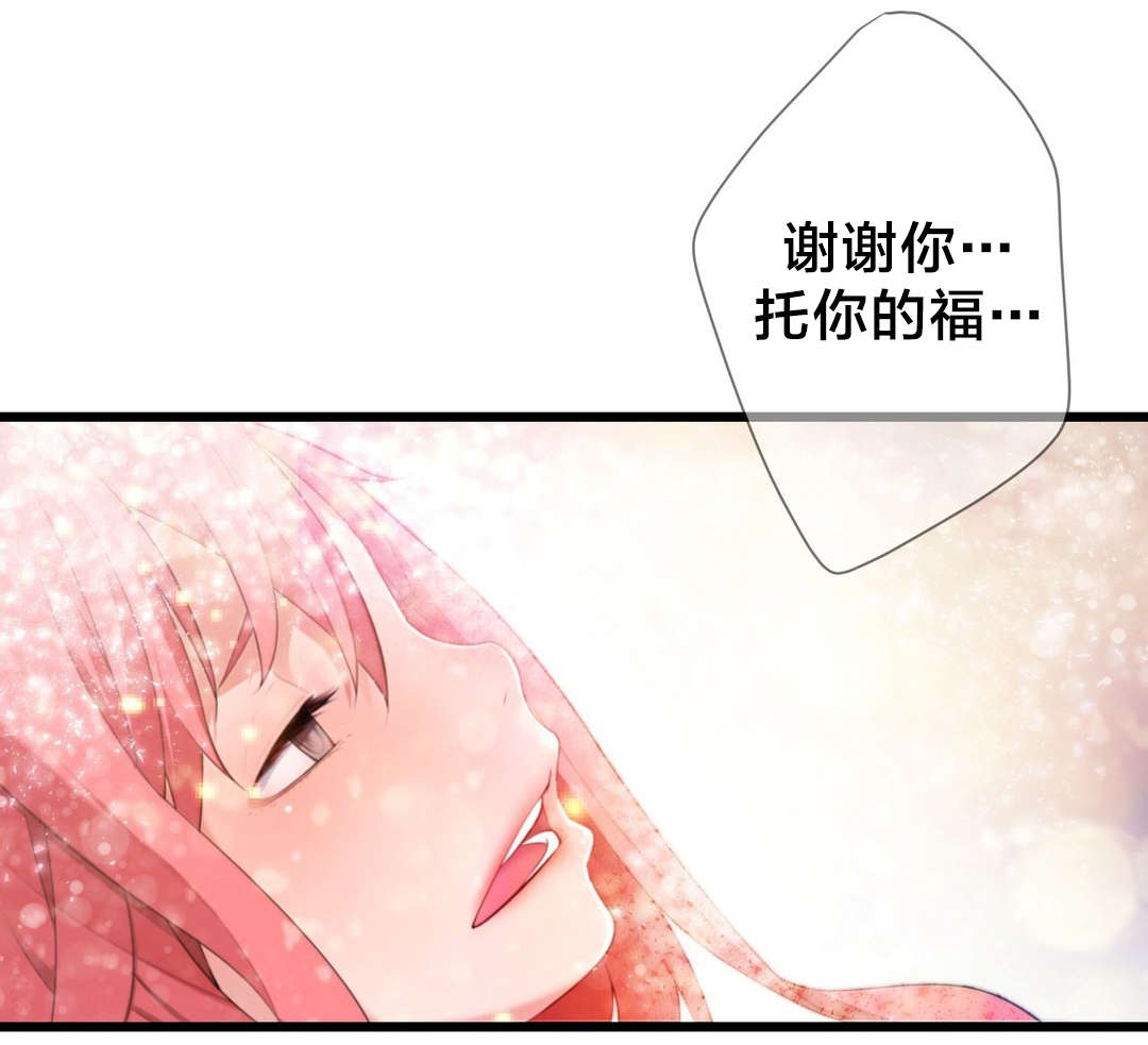 《孤独圣诞节》第55章再见了，疯女人 第1页