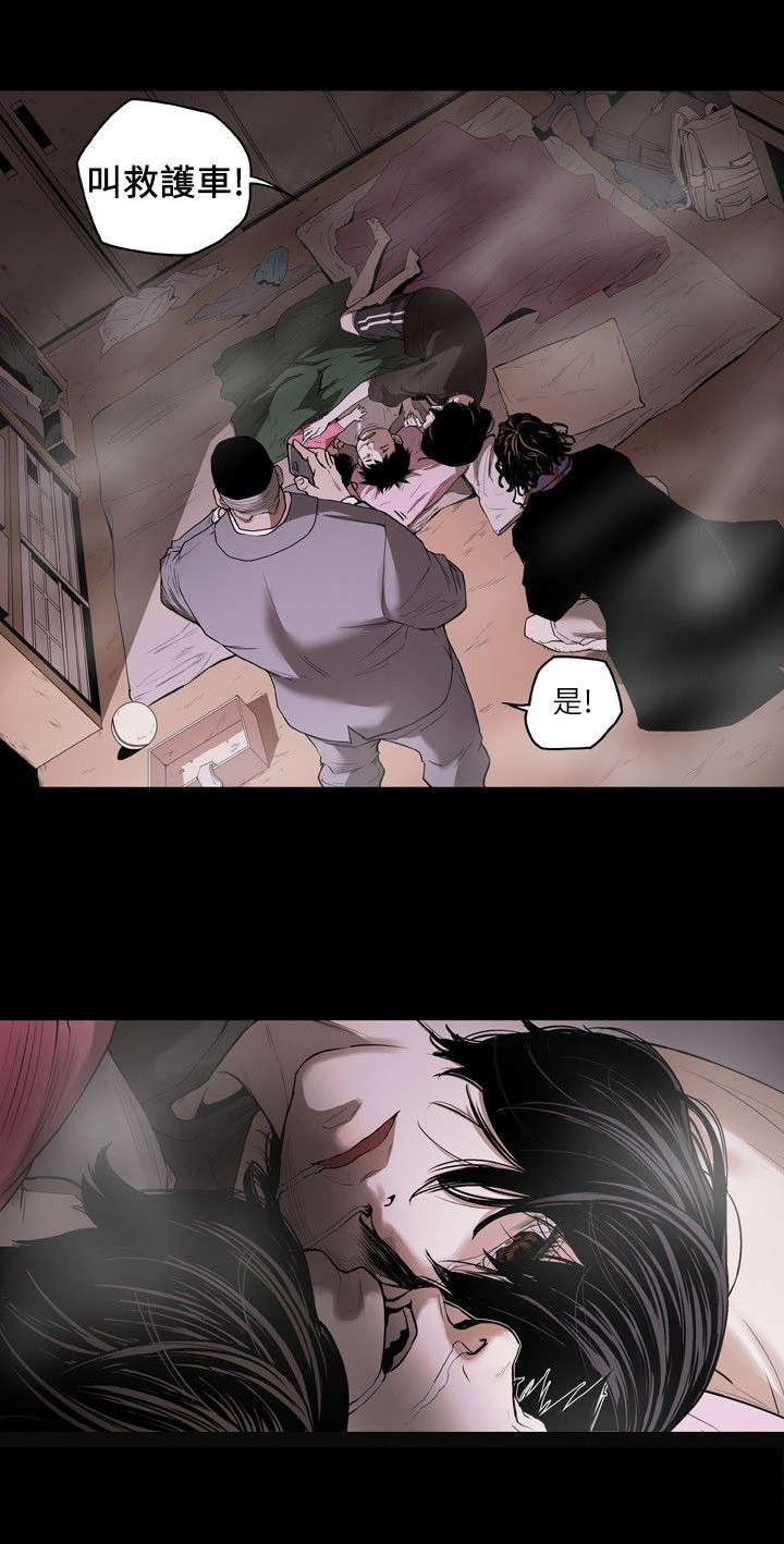 《温柔的骗局》第1章姜多莉、赵希冬 第19页