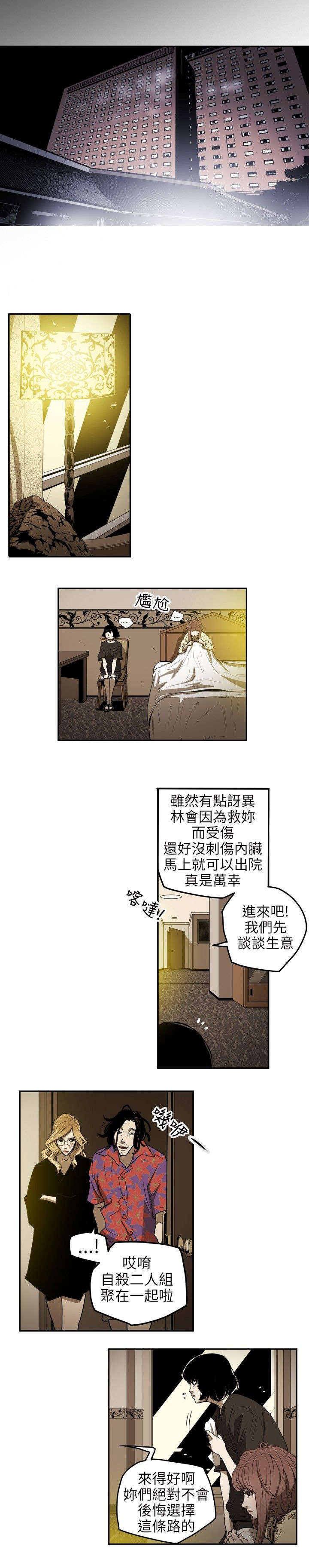《温柔的骗局》第7章集结 第12页