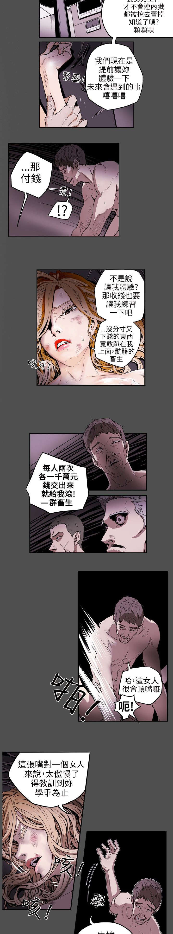 《温柔的骗局》第7章集结 第3页