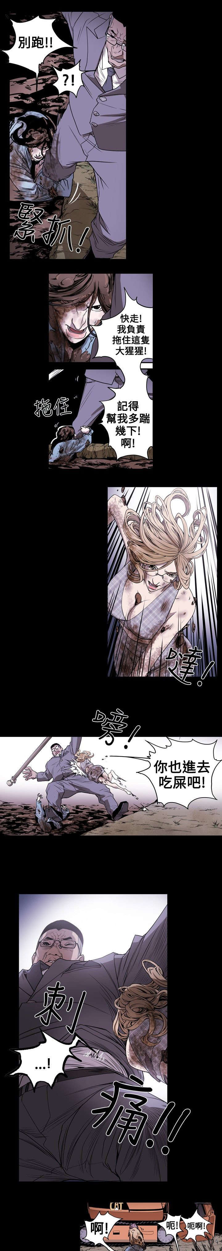 《温柔的骗局》第9章拍卖 第10页