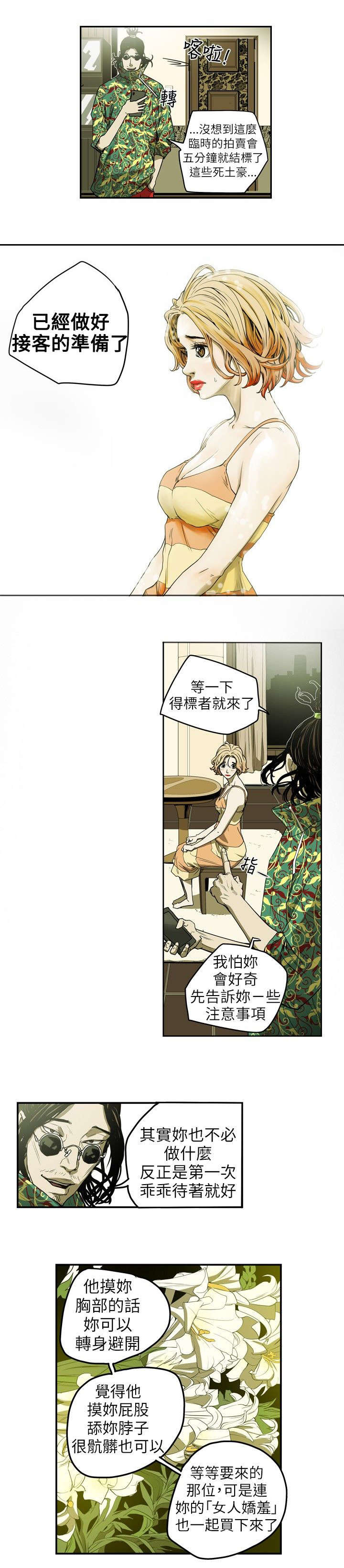 《温柔的骗局》第9章拍卖 第12页