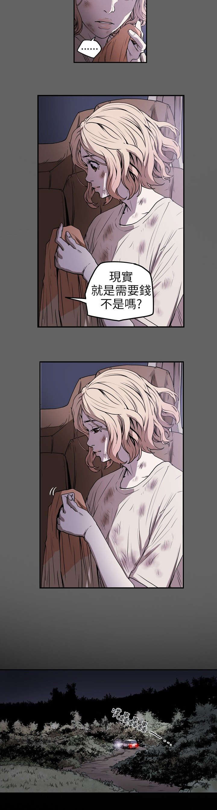 《温柔的骗局》第9章拍卖 第5页
