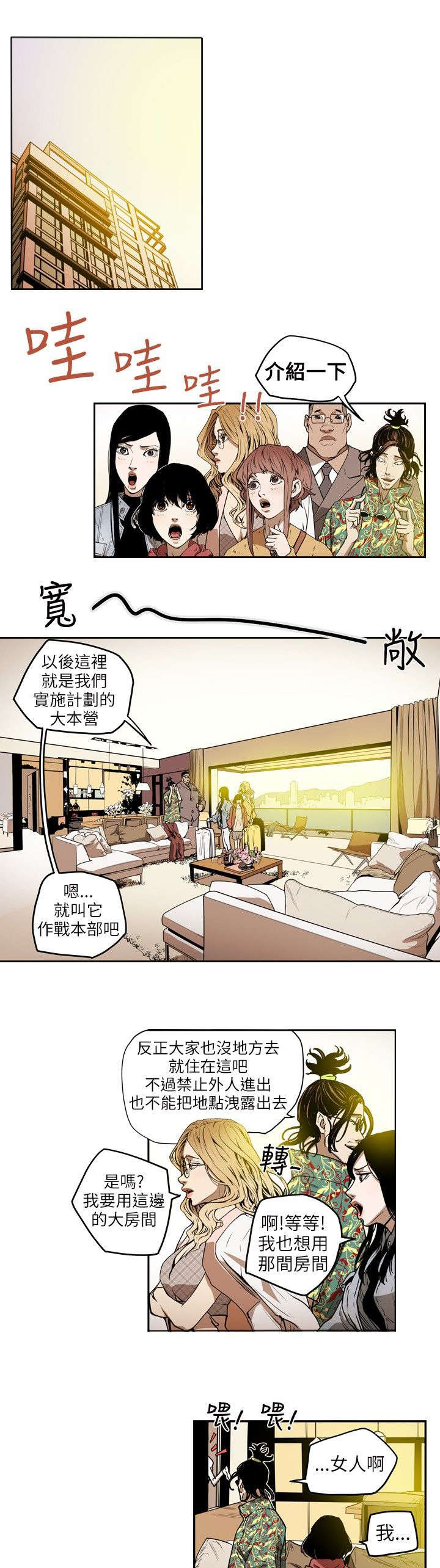 《温柔的骗局》第8章准备 第1页