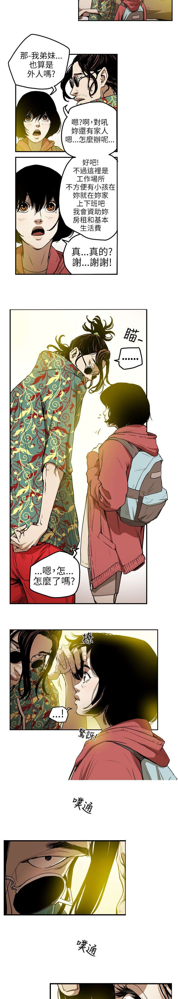 《温柔的骗局》第8章准备 第2页