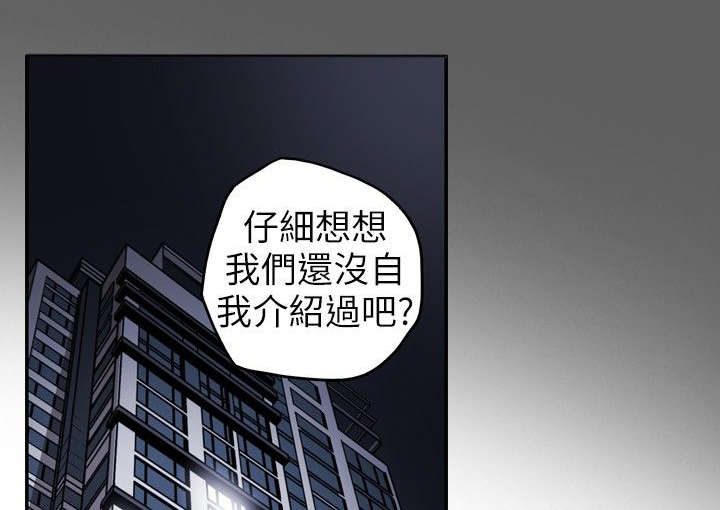 《温柔的骗局》第11章计划开始 第1页