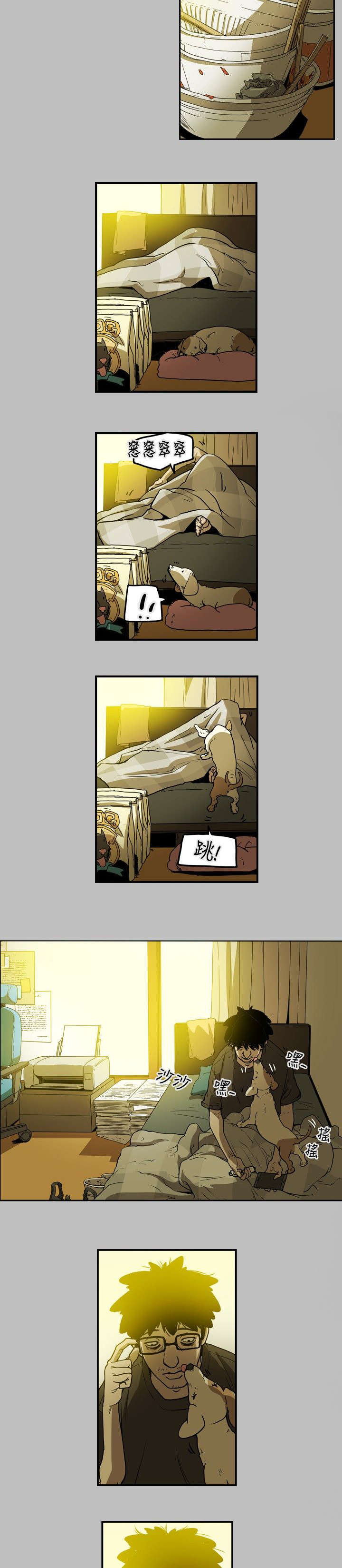 《温柔的骗局》第11章计划开始 第5页