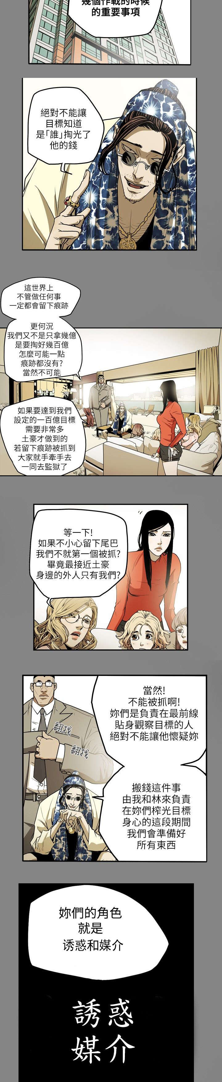 《温柔的骗局》第14章沉沦 第8页