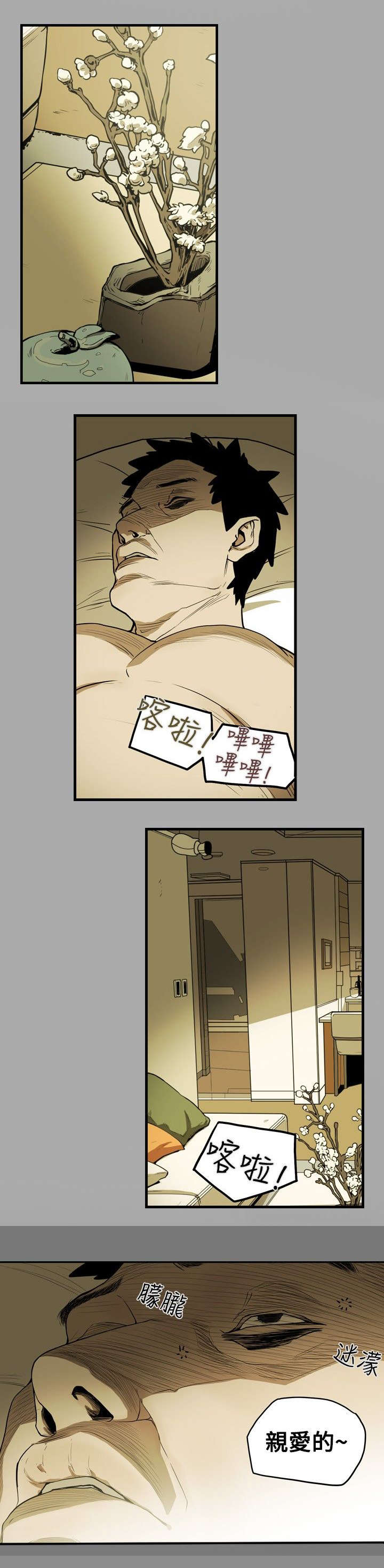 《温柔的骗局》第16章成功 第13页