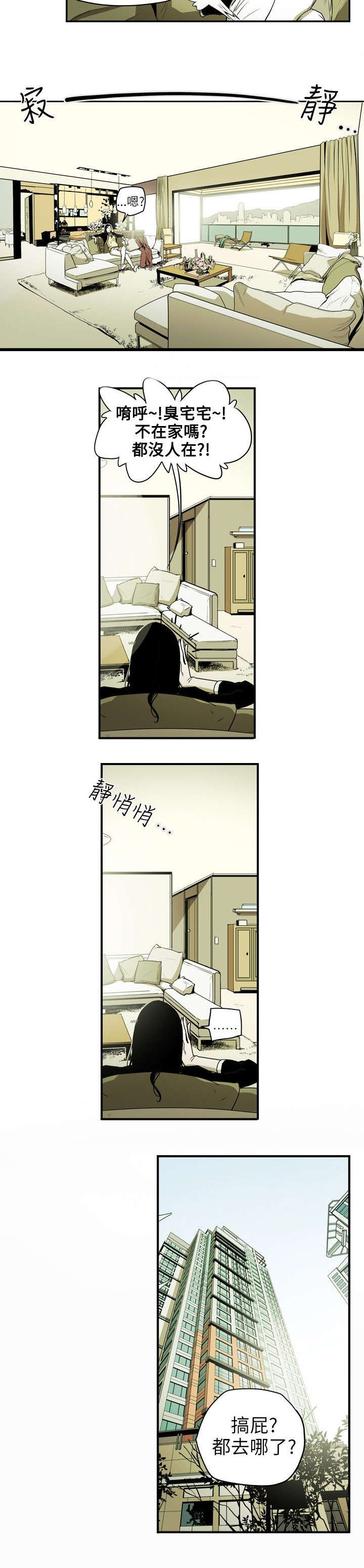 《温柔的骗局》第17章身败 第4页