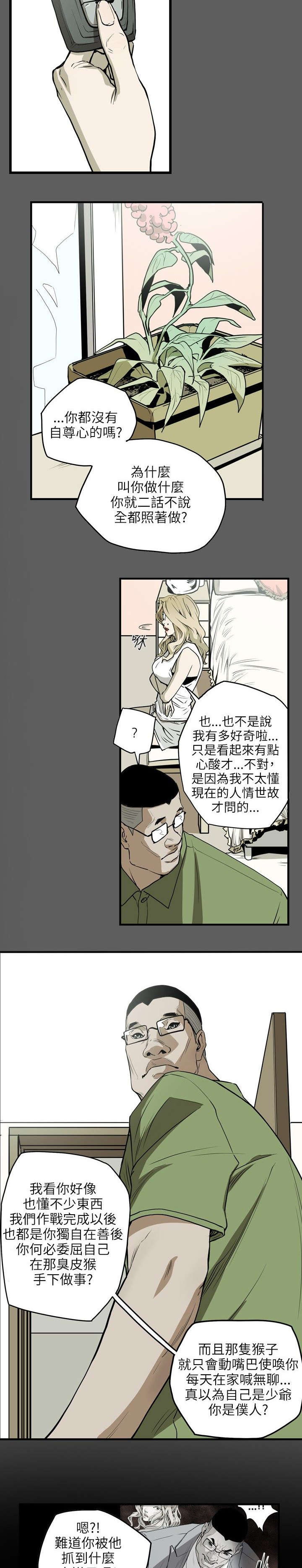 《温柔的骗局》第19章上钩 第4页