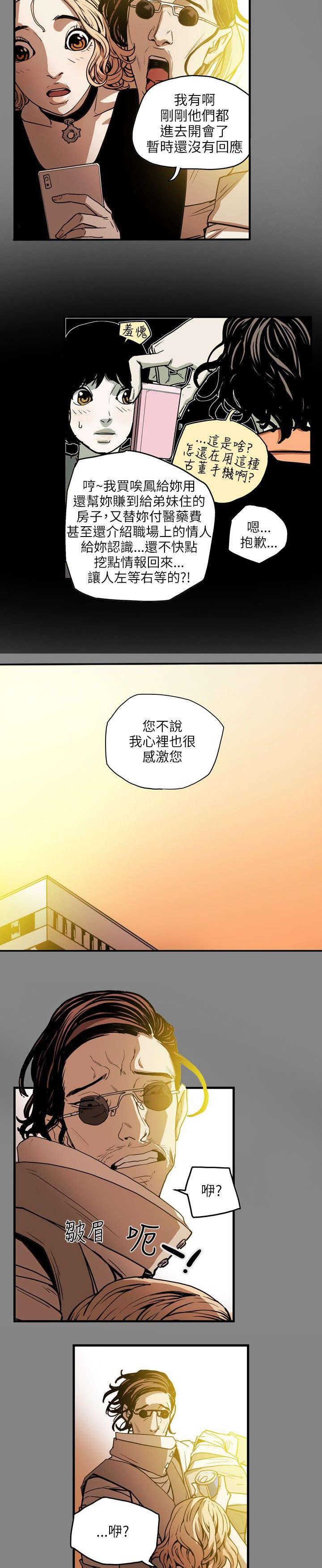 《温柔的骗局》第21章报仇 第6页