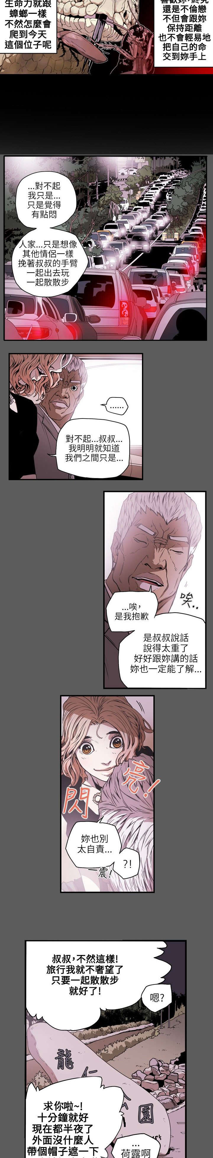 《温柔的骗局》第22章铺网 第4页