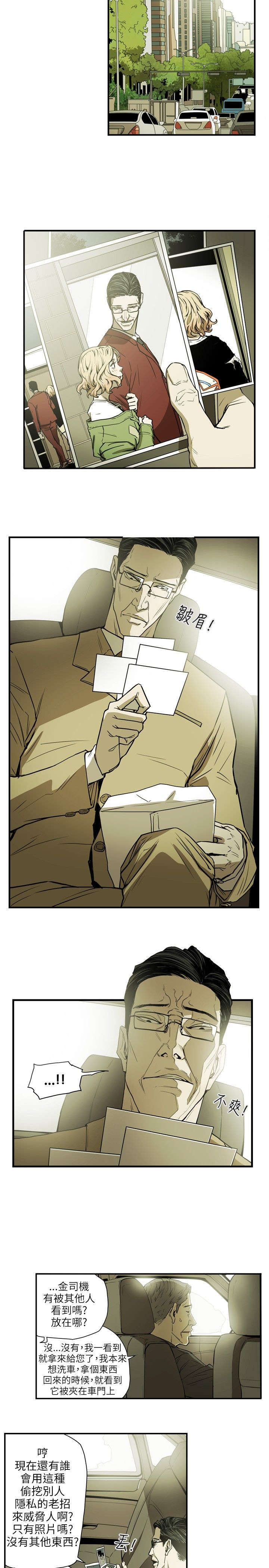 《温柔的骗局》第23章分裂 第7页