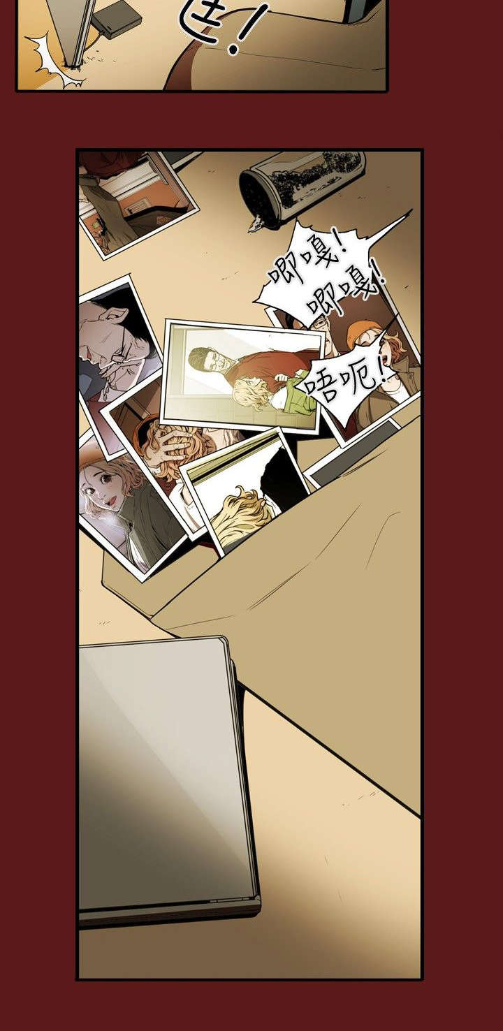 《温柔的骗局》第25章行动 第7页
