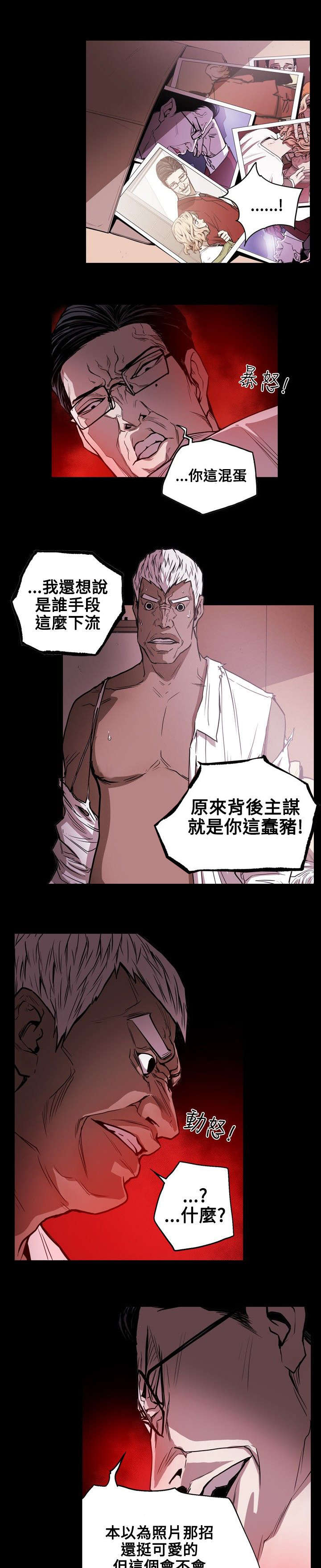 《温柔的骗局》第26章收网 第6页