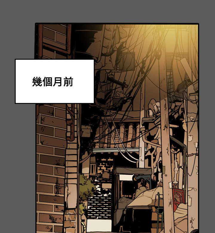 《温柔的骗局》第33章礼物 第1页