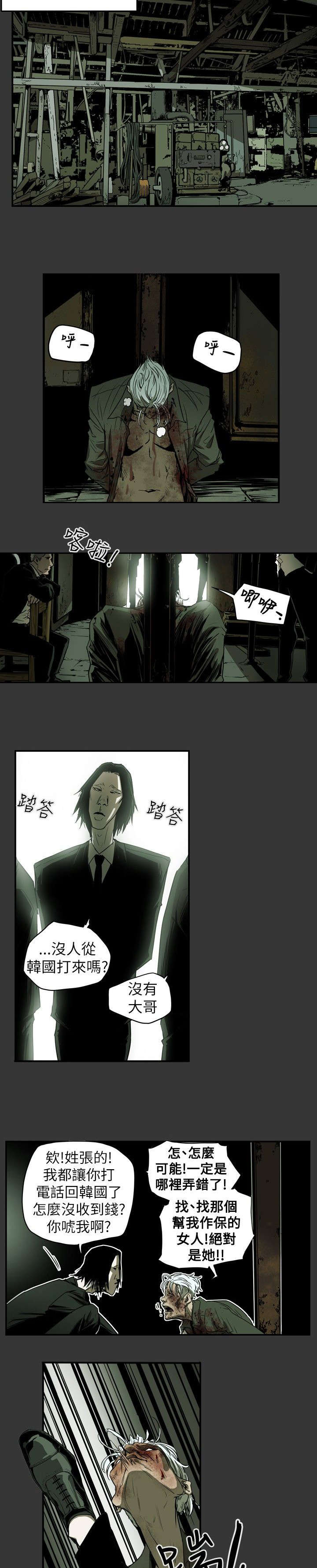 《温柔的骗局》第39章酒吧 第12页