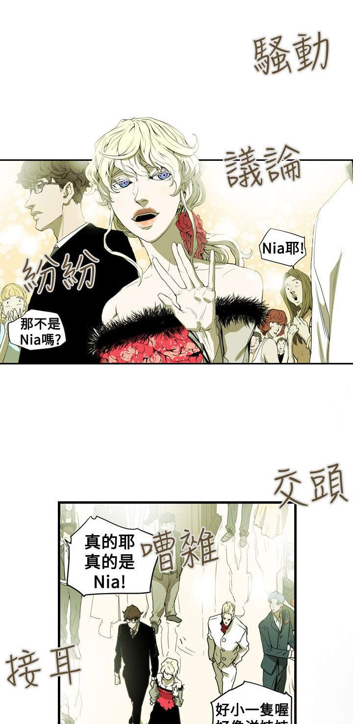 《温柔的骗局》第37章晚宴 第1页