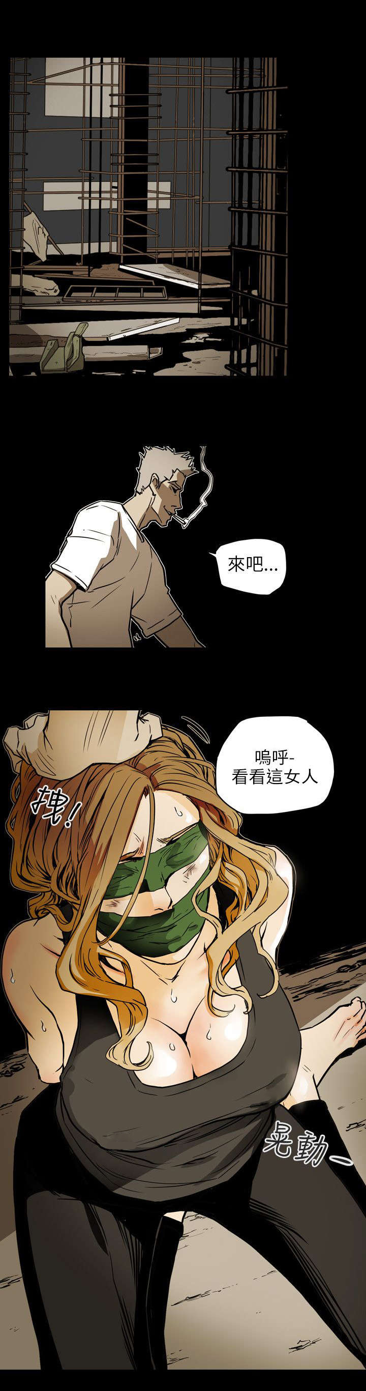 《温柔的骗局》第52章绑架 第16页