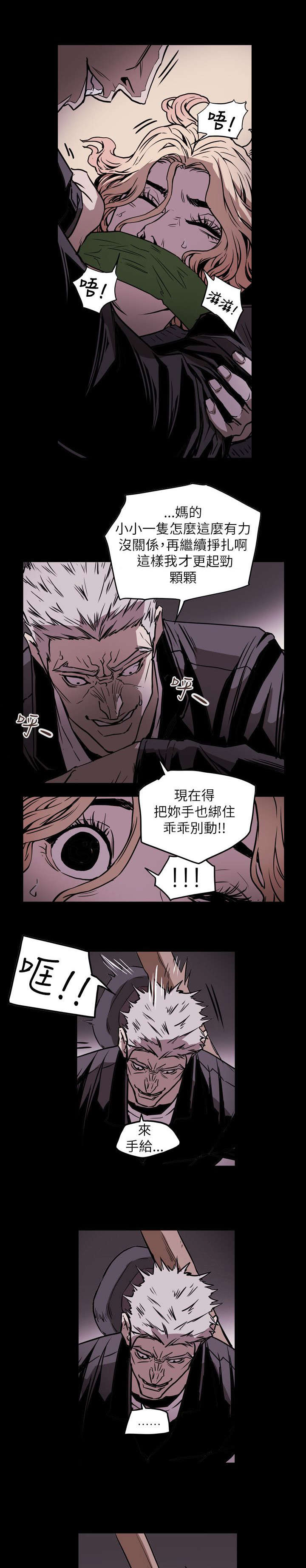 《温柔的骗局》第52章绑架 第7页