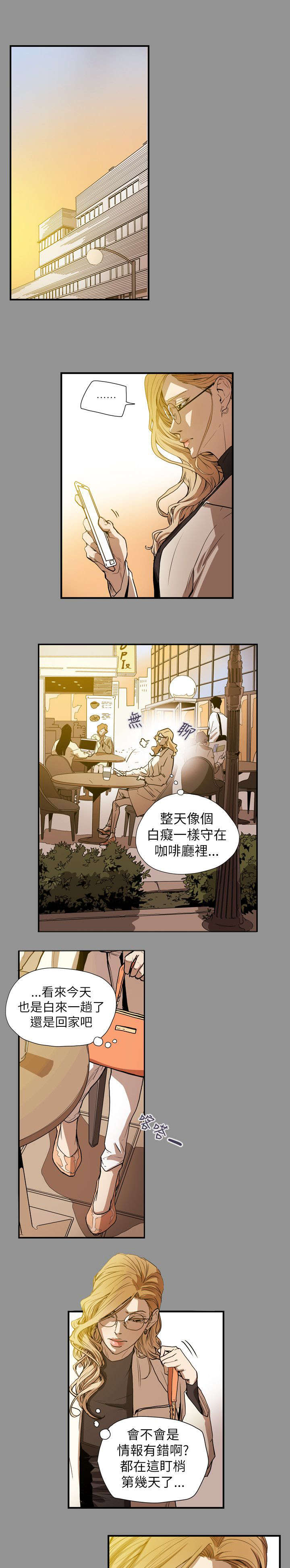 《温柔的骗局》第59章蓄谋 第15页