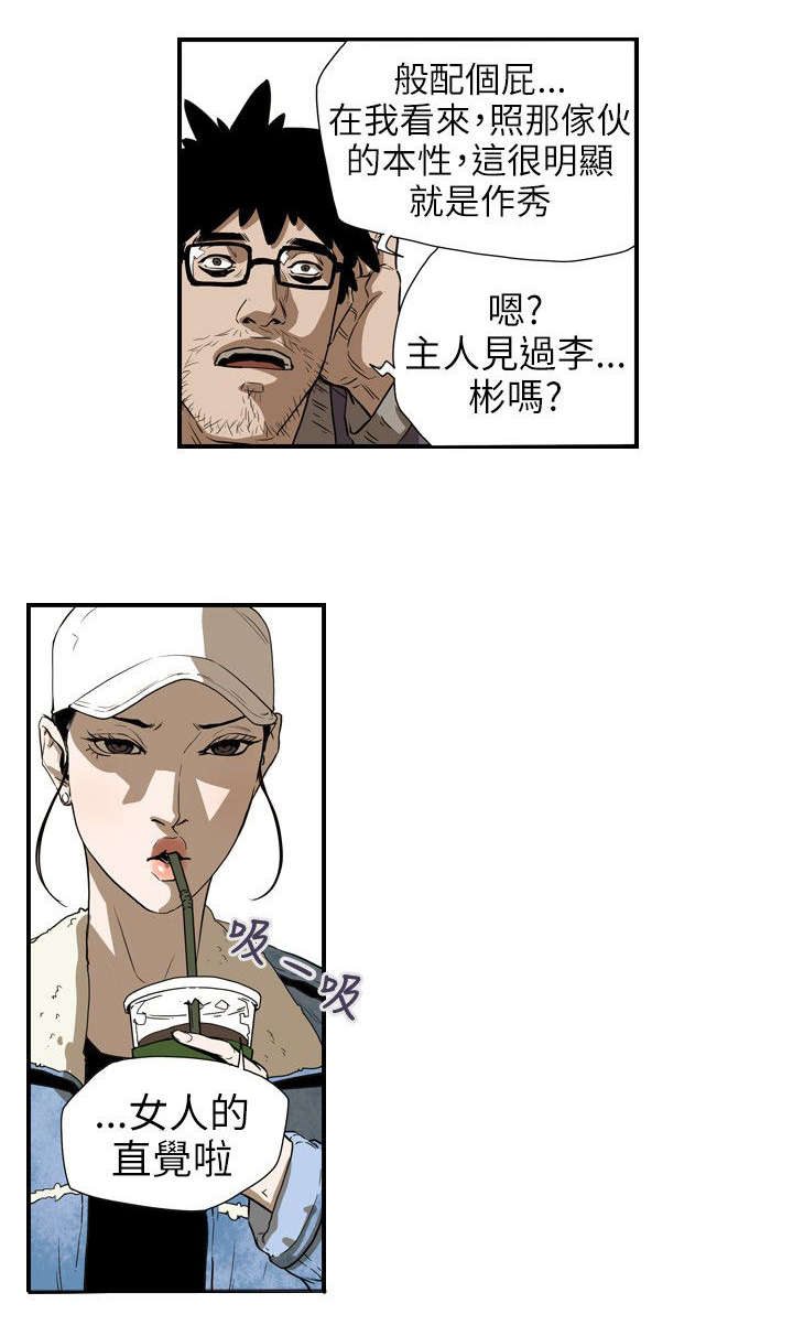 《温柔的骗局》第59章蓄谋 第4页