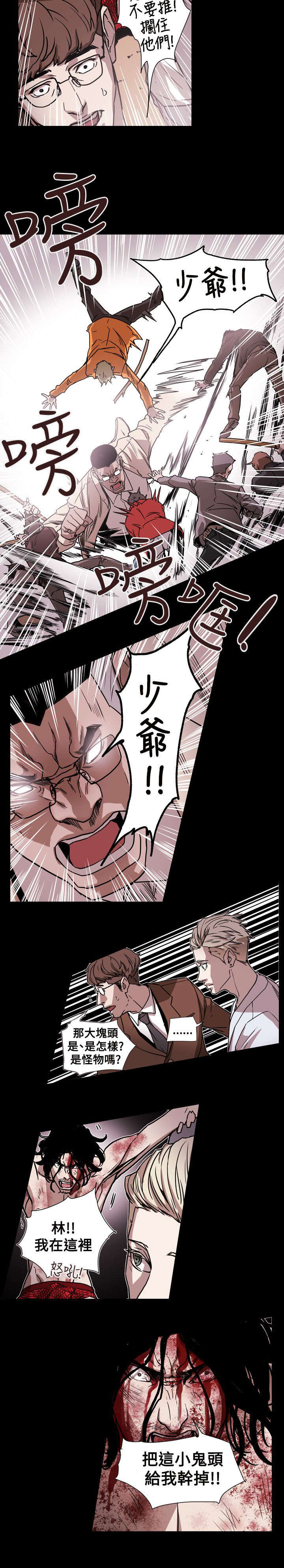 《温柔的骗局》第63章出手 第13页