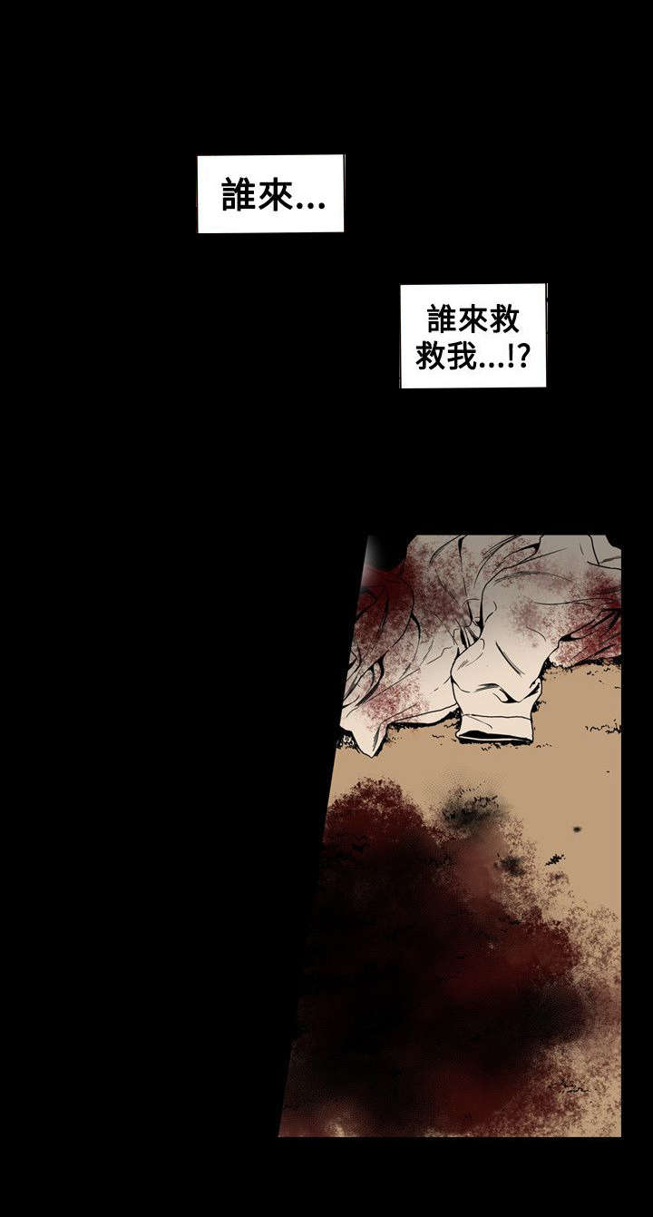 《温柔的骗局》第64章交换 第17页