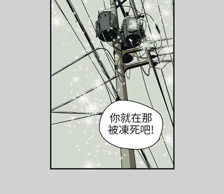 《温柔的骗局》第66章林 第11页