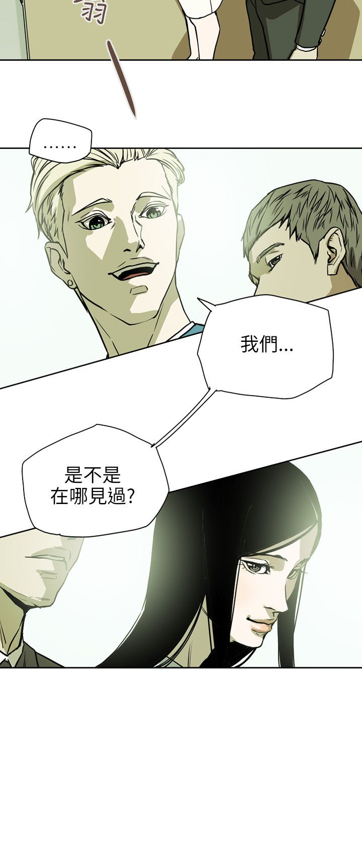 《温柔的骗局》第72章诱惑 第11页