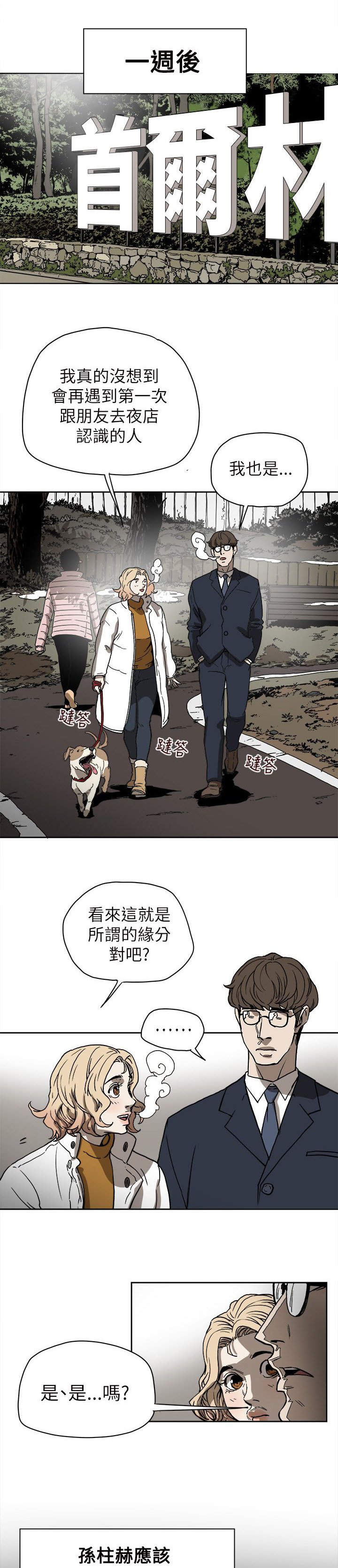 《温柔的骗局》第73章偶然 第9页