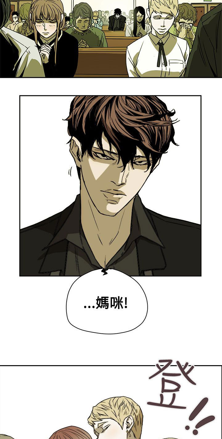 《温柔的骗局》第77章接触 第5页