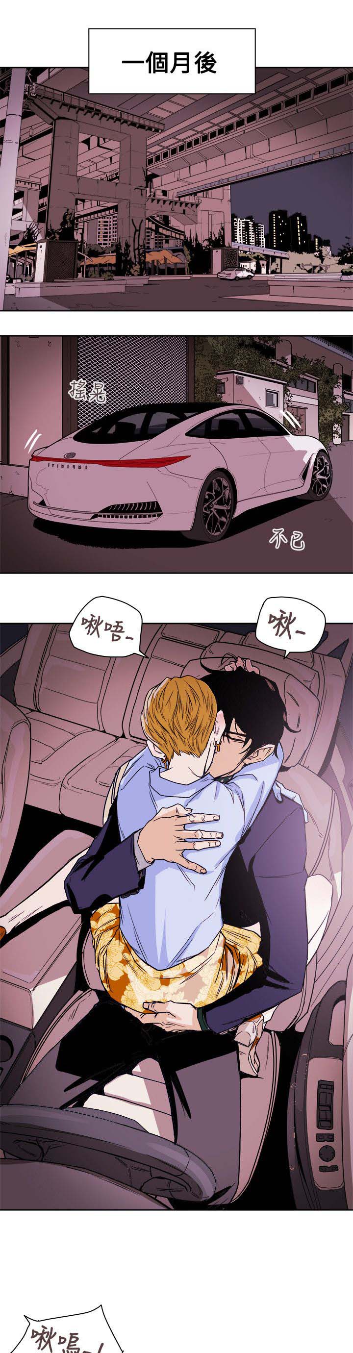 《温柔的骗局》第78章基本确定 第1页