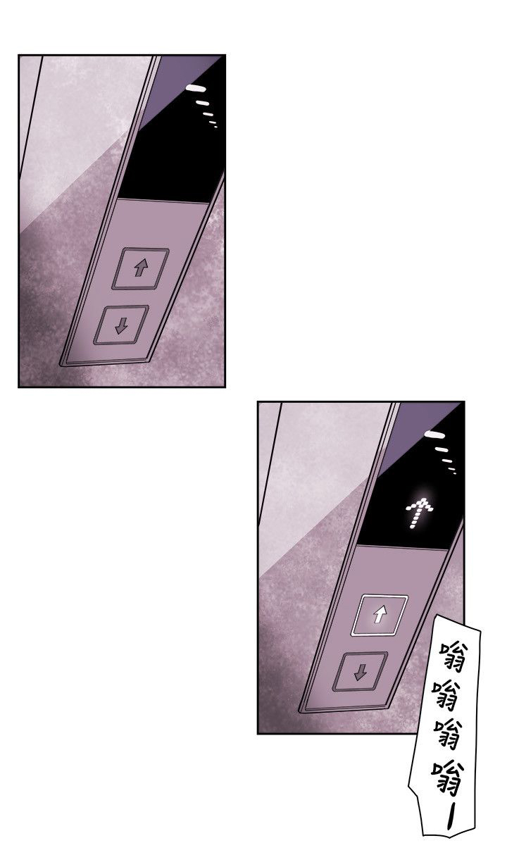 《温柔的骗局》第81章意外的相遇 第8页