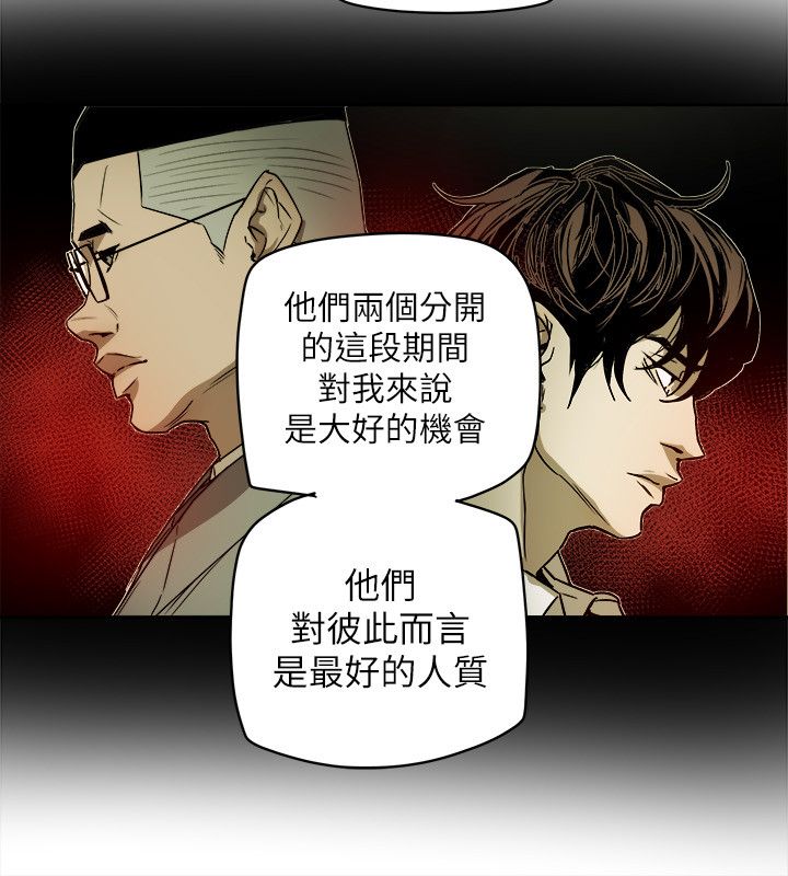 《温柔的骗局》第87章孙 第10页