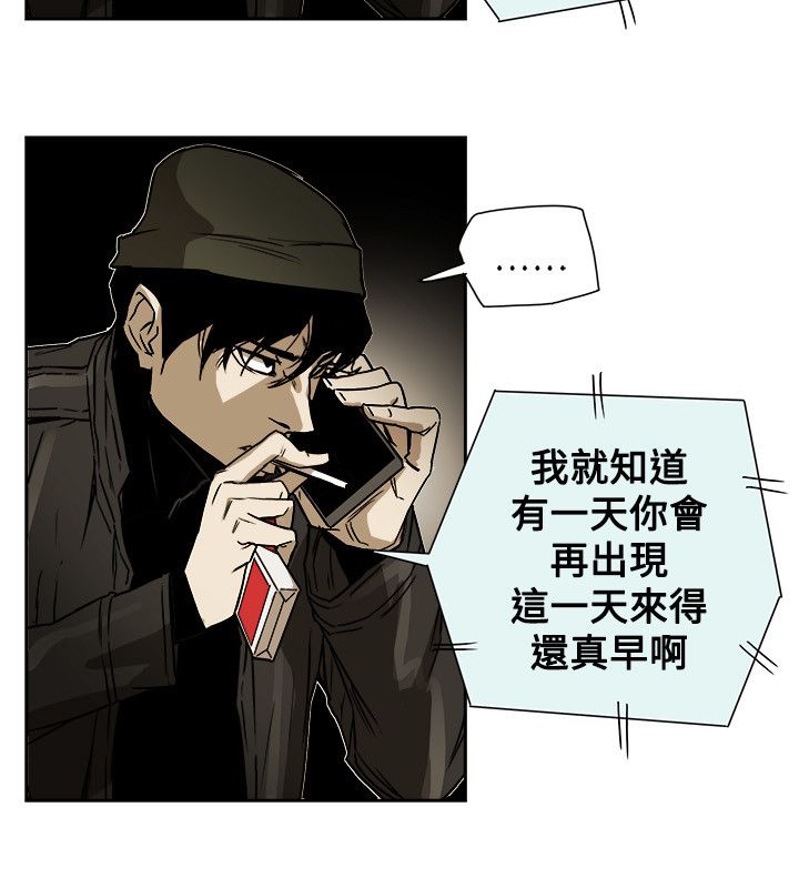 《温柔的骗局》第86章败露 第14页