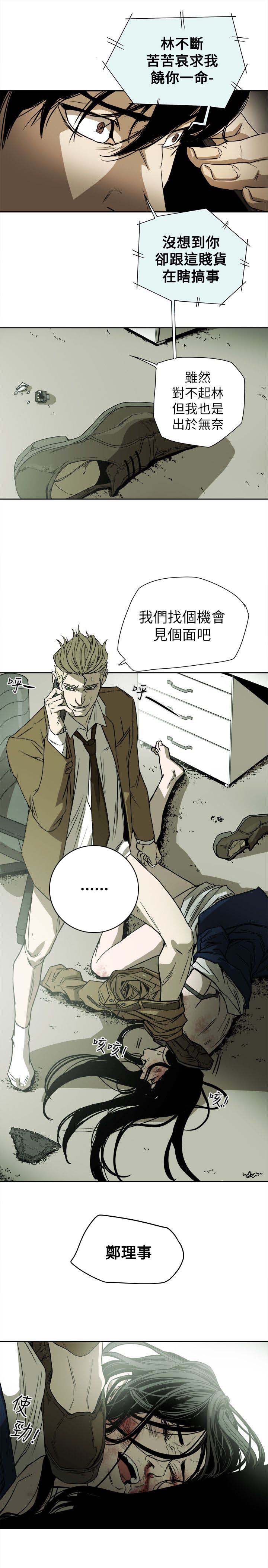 《温柔的骗局》第86章败露 第15页