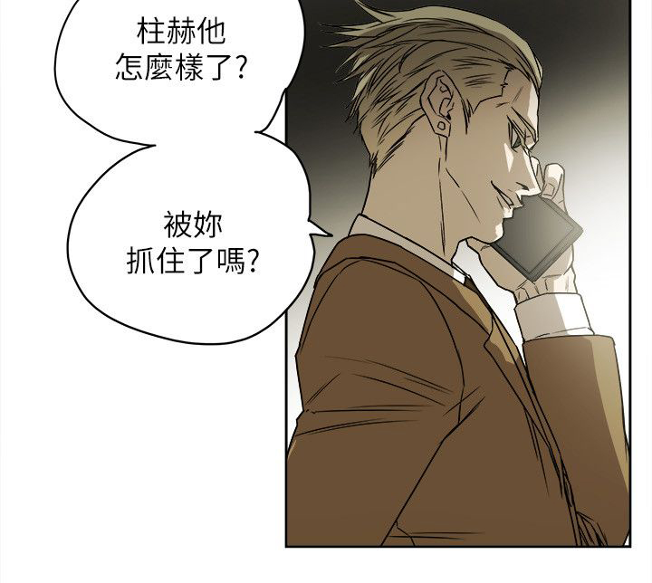 《温柔的骗局》第88章行动 第14页