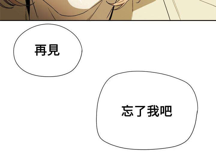 《温柔的骗局》第90章打击 第11页